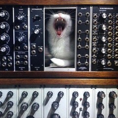 Money Meow Records