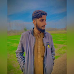 MuBiN