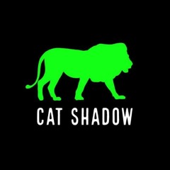 CAT SHADOW VAV