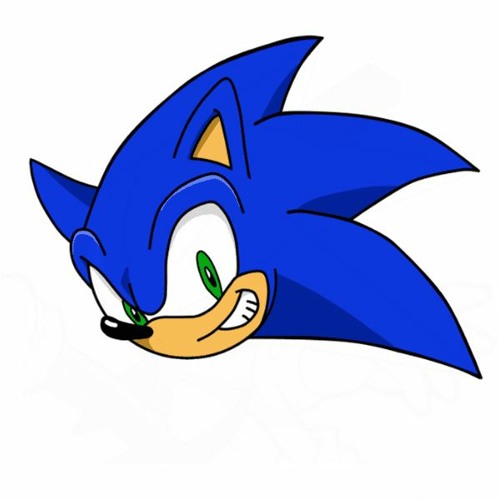 Sonic Surge’s avatar