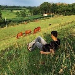Hà X Bách