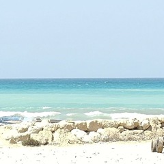 amitis