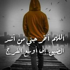 عمرو محمد فلوريدا