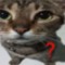 devilmale7th