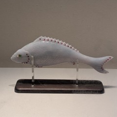 一隻魚