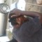 Carnell Boykin