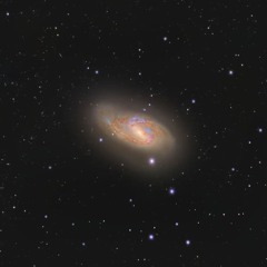 M66