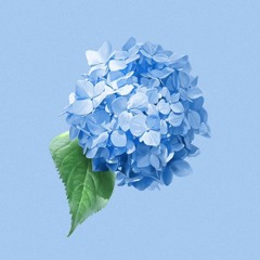 ꃅꂦꈤꂦꀘꍏ(1/11)