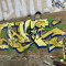kaiearl1