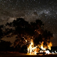 Andre and the Giants