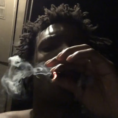 DinoGambino2️⃣2️⃣4️⃣