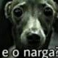 e o narga?