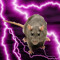 raTs