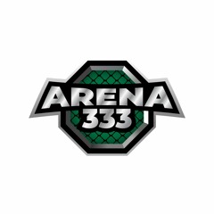 不删 EDM 慢摇 Remix ARENA333