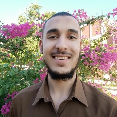 محمد نبيل