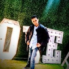 Badr Mahmoud Abo Hussein