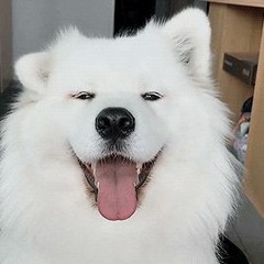 XerRound