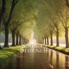 Sound of Stillness