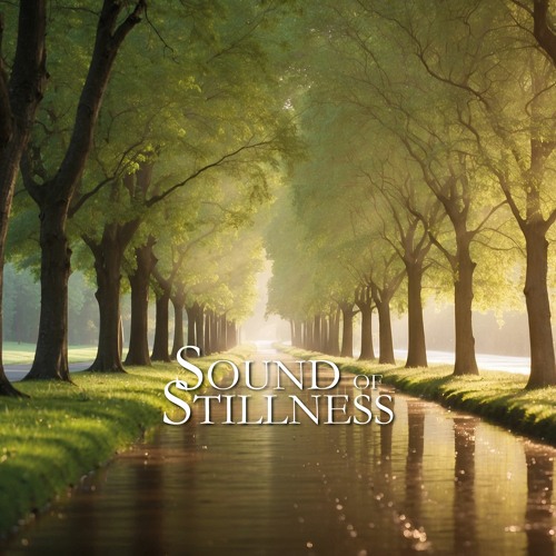 Sound of Stillness’s avatar