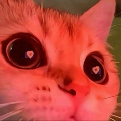 des cat