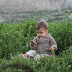 Shadab Ali Baig