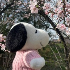 @birdsofmanyfeathers