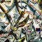 lots_of_fish
