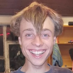 vitaminesindwichtig