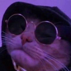 nelson is episch