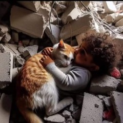 شروق