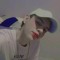 soy.estebxn