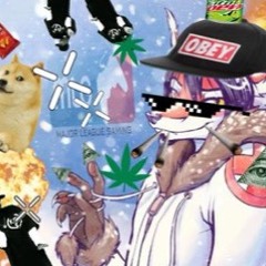 ilikelapfoxmusic