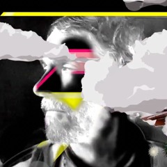 DJ Animal Vegetable Mineral