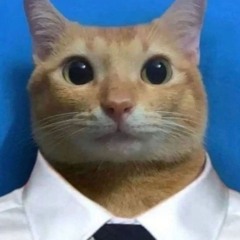 sar