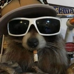 Kev!n