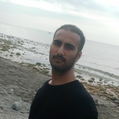 AmirHossein