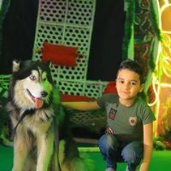 Dod Ahmed