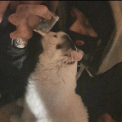 аф