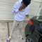Swift Teezy