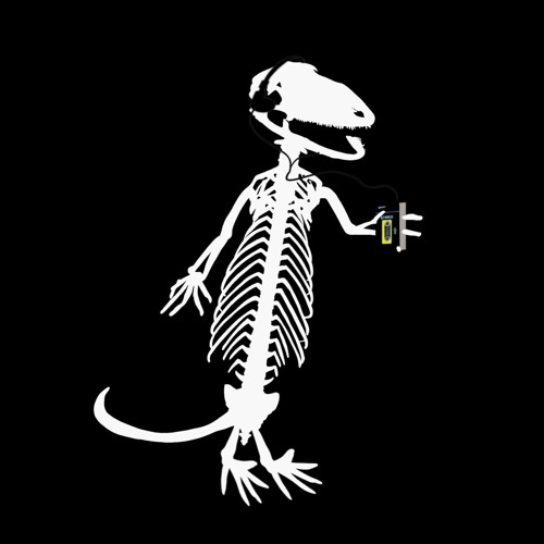 Lizard Tapes’s avatar