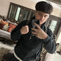 wsp_ant777