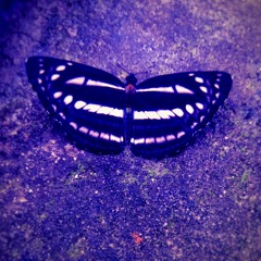 T.A.T.U - Gomenasai (Tweax Remix )