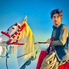 Amir Saab