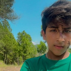 Malik Ali Awan ⚜️