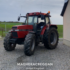 matthew donaghy