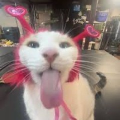 v