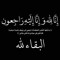 Mohamed Ragap