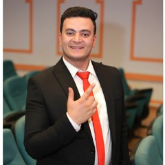 amir hashish