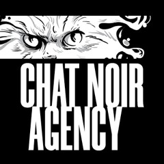 Chat Noir Agency