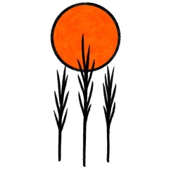 Sunset Groove Studio